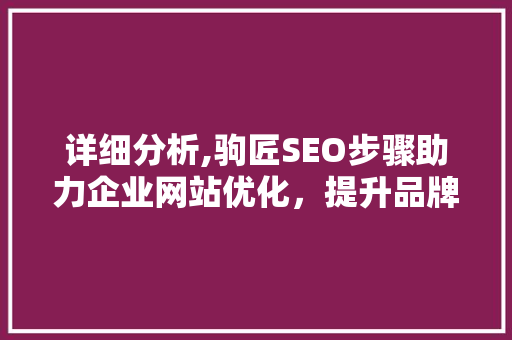 详细分析,驹匠SEO步骤助力企业网站优化，提升品牌影响力 360搜优化