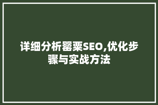 详细分析罂粟SEO,优化步骤与实战方法 360搜优化