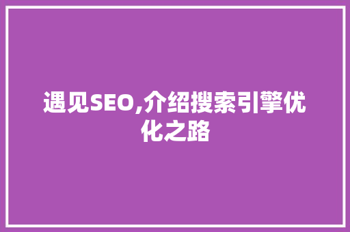 遇见SEO,介绍搜索引擎优化之路 头条优化