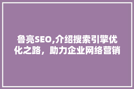 鲁亮SEO,介绍搜索引擎优化之路，助力企业网络营销腾飞 百度算法