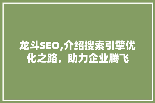 龙斗SEO,介绍搜索引擎优化之路，助力企业腾飞 seo技术