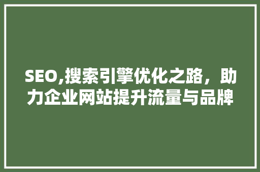 SEO,搜索引擎优化之路，助力企业网站提升流量与品牌价值