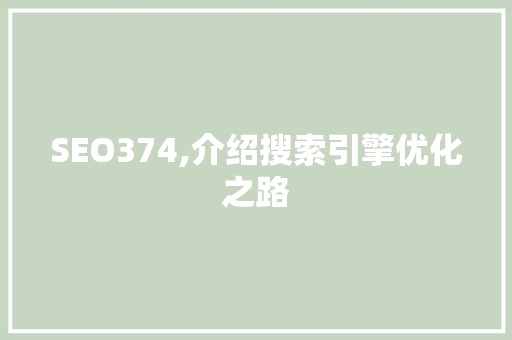 SEO374,介绍搜索引擎优化之路