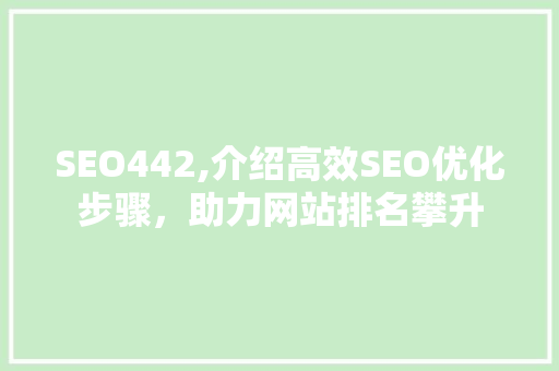 SEO442,介绍高效SEO优化步骤，助力网站排名攀升