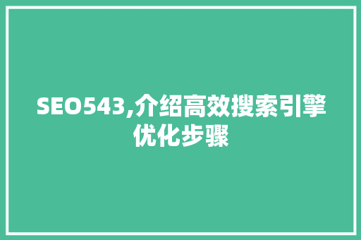 SEO543,介绍高效搜索引擎优化步骤