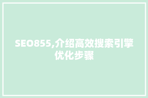 SEO855,介绍高效搜索引擎优化步骤