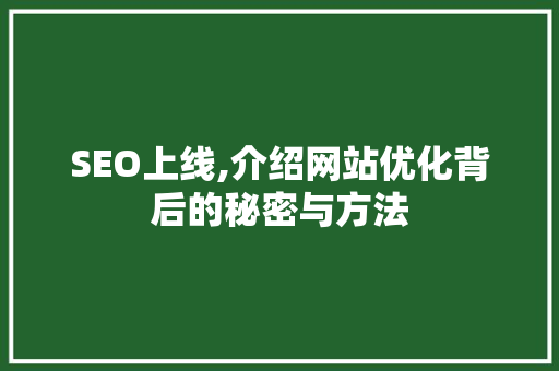 SEO上线,介绍网站优化背后的秘密与方法