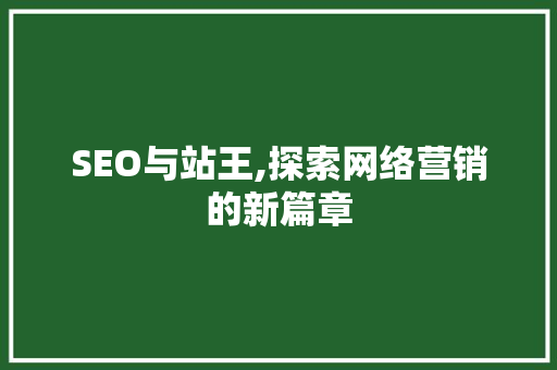 SEO与站王,探索网络营销的新篇章 网站开发