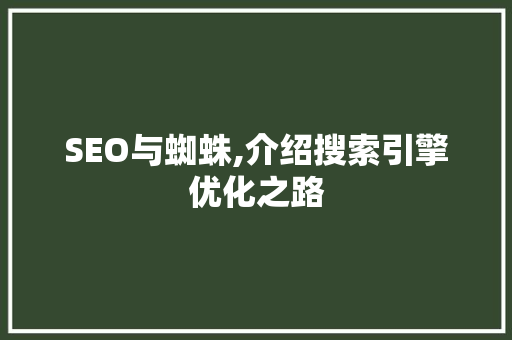 SEO与蜘蛛,介绍搜索引擎优化之路 360搜优化