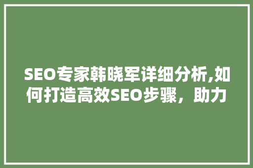 SEO专家韩晓军详细分析,如何打造高效SEO步骤，助力企业网站优化