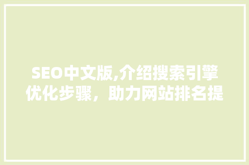SEO中文版,介绍搜索引擎优化步骤，助力网站排名提升