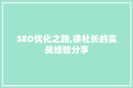 SEO优化之路,徐社长的实战经验分享 网站开发