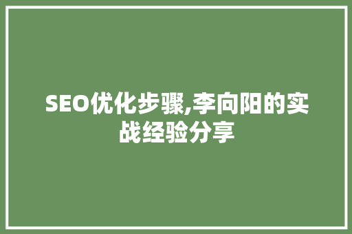 SEO优化步骤,李向阳的实战经验分享 360搜优化