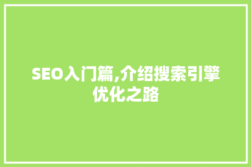 SEO入门篇,介绍搜索引擎优化之路