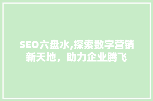 SEO六盘水,探索数字营销新天地，助力企业腾飞