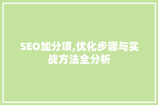 SEO加分项,优化步骤与实战方法全分析 百度算法