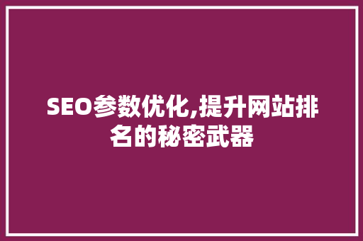 SEO参数优化,提升网站排名的秘密武器