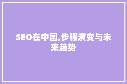 SEO在中国,步骤演变与未来趋势 360搜优化