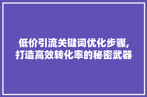 低价引流关键词优化步骤,打造高效转化率的秘密武器