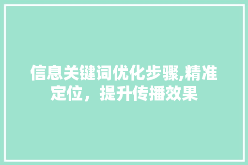 信息关键词优化步骤,精准定位，提升传播效果