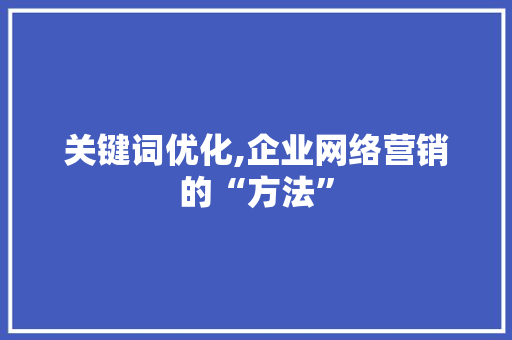 关键词优化,企业网络营销的“方法” 网站开发