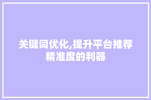 关键词优化,提升平台推荐精准度的利器 英文谷歌算法