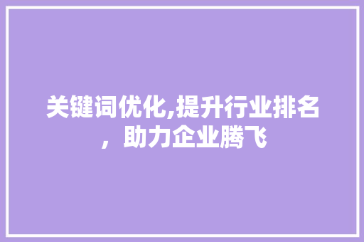 关键词优化,提升行业排名，助力企业腾飞