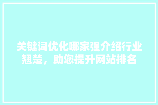 关键词优化哪家强介绍行业翘楚，助您提升网站排名