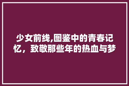 少女前线,图鉴中的青春记忆，致敬那些年的热血与梦想 少女前线,图鉴中的青春记忆，致敬那些年的热血与梦想 搜狗优化