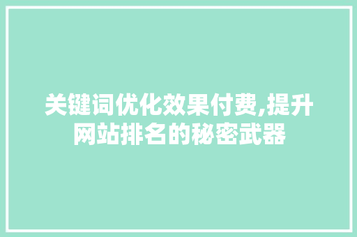 关键词优化效果付费,提升网站排名的秘密武器 seo技术