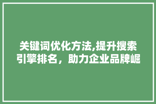 关键词优化方法,提升搜索引擎排名，助力企业品牌崛起