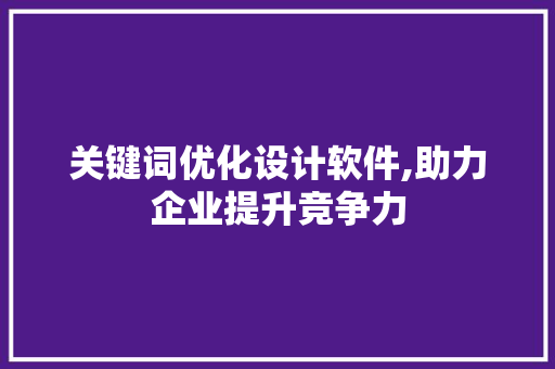 关键词优化设计软件,助力企业提升竞争力 网站开发