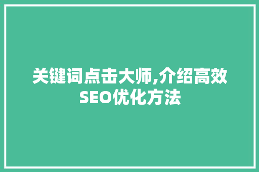 关键词点击大师,介绍高效SEO优化方法 网站开发
