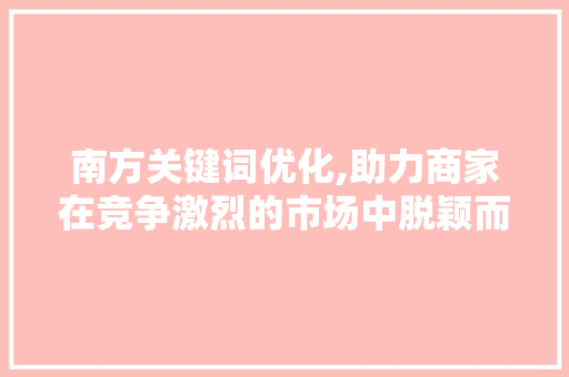 南方关键词优化,助力商家在竞争激烈的市场中脱颖而出