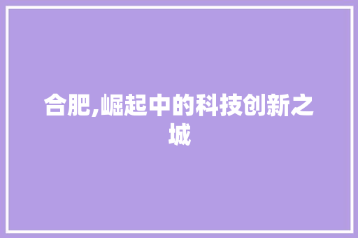 合肥,崛起中的科技创新之城