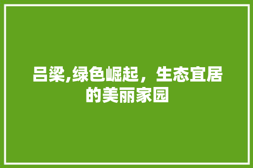 吕梁,绿色崛起，生态宜居的美丽家园 seo技术