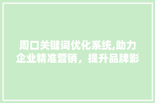 周口关键词优化系统,助力企业精准营销，提升品牌影响力