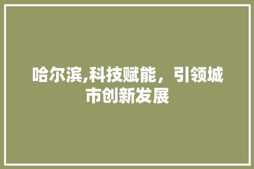哈尔滨,科技赋能，引领城市创新发展