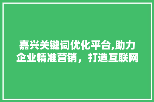 嘉兴关键词优化平台,助力企业精准营销，打造互联网时代品牌新高度 网站开发