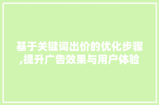 基于关键词出价的优化步骤,提升广告效果与用户体验