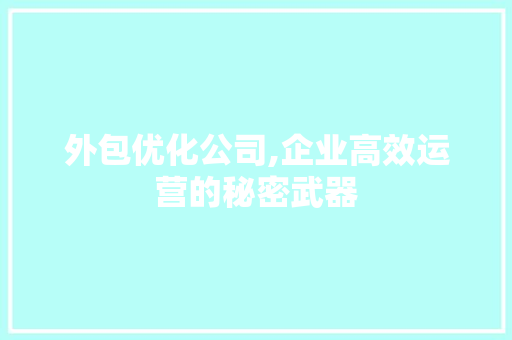 外包优化公司,企业高效运营的秘密武器