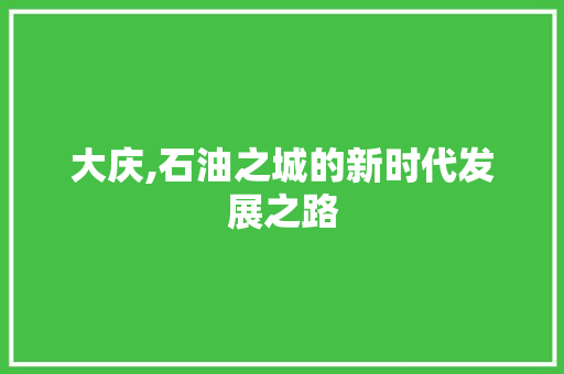 大庆,石油之城的新时代发展之路 网站开发