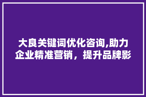 大良关键词优化咨询,助力企业精准营销，提升品牌影响力