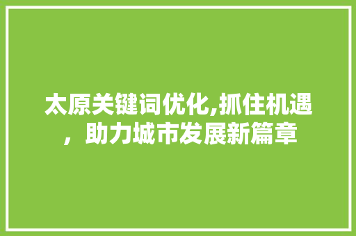 太原关键词优化,抓住机遇，助力城市发展新篇章 网站优化