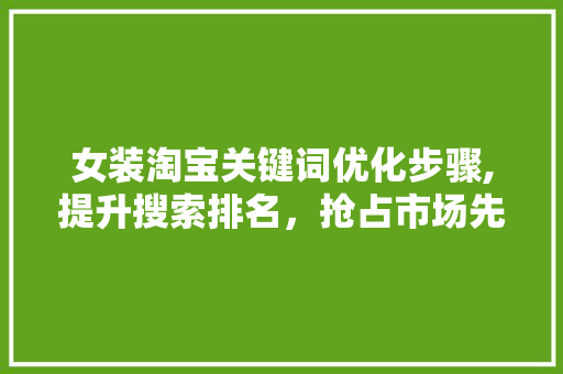 女装淘宝关键词优化步骤,提升搜索排名，抢占市场先机 seo技术