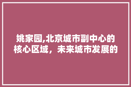 姚家园,北京城市副中心的核心区域，未来城市发展的新引擎