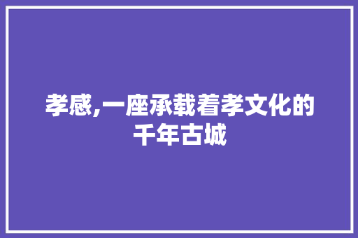 孝感,一座承载着孝文化的千年古城 百度算法