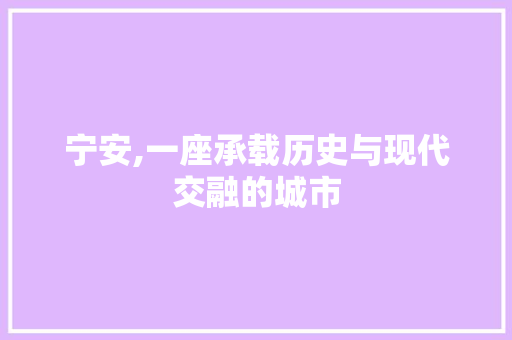 宁安,一座承载历史与现代交融的城市 seo技术