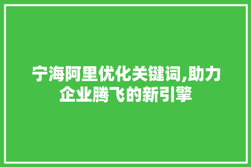 宁海阿里优化关键词,助力企业腾飞的新引擎 网站优化