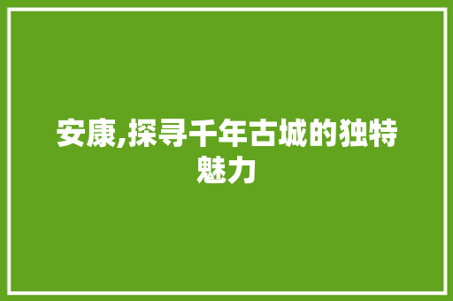 安康,探寻千年古城的独特魅力 英文谷歌算法